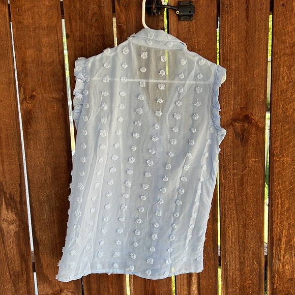 Sheer Blue Ruffly Blouse - Picture 4 of 5